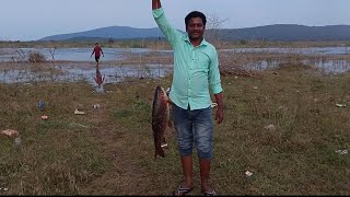 # బంగారు తీగ 🐟చెప 🐟 fishing🎣 big fish catch, మేము కష్టపడి పట్టము #like share coment subscribe