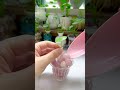 unique way to grow plants flower in cup to be beautiful shorts diy flowers easy plants