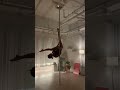 폴댄스 이구아나 중급콤보 poledance pdiguana