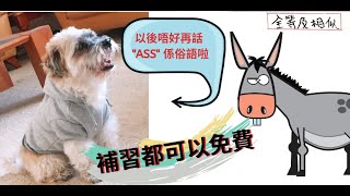 中一數學第八課：全等及相似【上】(F.1 Math. Ch8：Congruent and Similar PART 1)