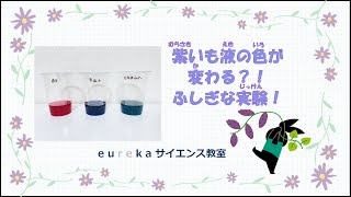 紫いも液の色が変わる？！不思議な実験！