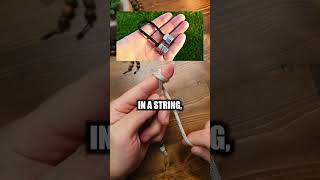 How Paracord Begleri Can Cure Your Anxiety