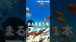 水納島の透明度をたっぷり楽しめるダイビングオンラインツアー開催！