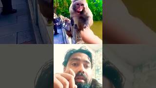 This Monkey’s Reaction Was Totally Unexpected when he touched the monkey