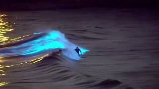 Surfer Glides Through Stunning Bioluminescence Water in San Diego