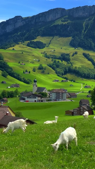 ёяун Schwende Switzerland ёязиёязнfollow For Daily Swiss Content ёязиёязн Youtube ёяун Schwende Switzerland ёязиёязнfollow For Daily Swiss Content ёязиёязн Youtube