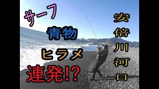 【サーフジギング】安倍川河口で青物、ヒラメ連発！？まさる会長杯　焼津のテンガくん優勝