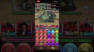 【パズドラ】チャレンジLv10【落ちコンなし】 5月のクエスト セイナpt