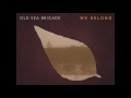 Old Sea Brigade - We Belong [Audio]