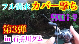 【第3弾】石手川ダム‼️フル満水、カバー撃ちでデカバスを狙ってみた‼️