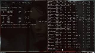ARM fork bomb shellcode demo