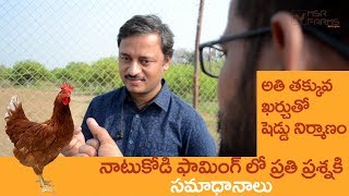 Natukodi successful farming in telugu | Mydukur | Kadaknath Available | MSR FARMS |