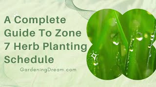 A Complete Guide To Zone 7 Herb Planting Schedule