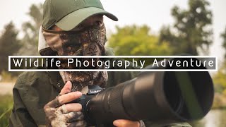 WILDLIFE PHOTOGRAPHY ADVENTURE | Finally Capturing a Belted Kingfisher