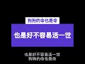 邻居扰民哇啊啊啊：狗狗的命也是命，请尊重生命 #吐槽 #噪音 #扰民 #社会问题 #我的邻居