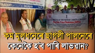 কম মূলধনেৰে ছাগলী পালনেৰে কেনেকৈ হ'ব পাৰি লাভৱান?