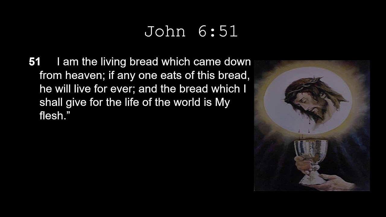 20th Sunday B - Jn 6 51 58 Why Don’t Protestants Believe John 6 - YouTube