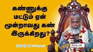 கண்ணுக்கு மட்டும் ஏன் மூன்றாவது கண் இருக்கிறது? #thirdeye #மூன்றாவதுகண்