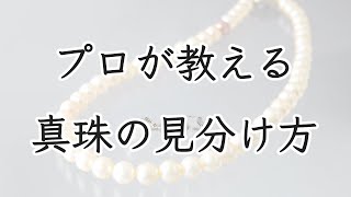 プロが教える真珠の見分け方