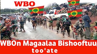 BAGA GAMMADDAN WBOn Magaalaa Bishoofuu dabalatee iddoo hedduu too'achuutti jira Oduu Oolmaa Oromia