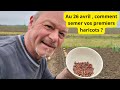 Au 26 avril au jardin , comment semer vos premiers haricots verts  ?