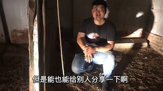 养殖场苍蝇解决了，晚上的蚊子怎么办呢？小伙给你推荐用这个