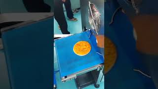 Pizza production line sauce application topping machine