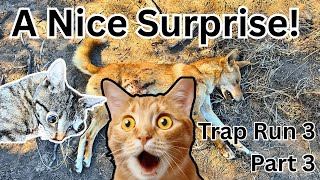 Got Him In The Last Trap!