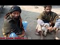 bakra mandi hyderabad bypass january 15 2025