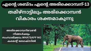 അരിക്കൊമ്പൻ തിരിച്ചെത്തും. ആദിവസം നമ്മൾ ആഘോഷിക്കും | #arikkomban | Be4 News Kochi