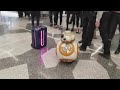 travelmate robot meets a new friend