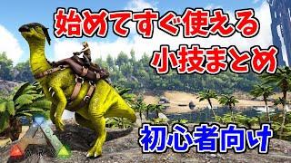 【ARKゆっくり解説】始めてすぐ使える初心者向け知識集