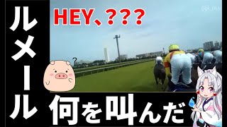 宝塚記念ジョッキーカメラにあるルメール騎手の謎の声【レース回顧】