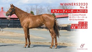 WINNERS2020 No.8スウィーティーガール2018