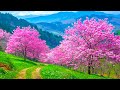 All your worries will disappear if you listen to this music🌸 Relaxing music calms your nerves #69