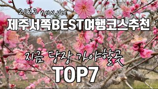 [제주여행]2022 new,ver 제주서쪽BEST여행코스추천 지금당장가야할곳 TOP7|제주여행|제주서쪽여행|매화꽃|제주가볼만한곳|서귀포여행|TOP7|지금당장가야할곳