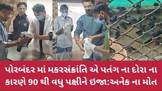 પોરબંદર માં મકરસંક્રાંતિ એ પતંગ ના દોરા ના કારણે 90 થી વધુ પક્ષીને ઇજા:અનેક ના મોત