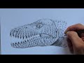 how to draw an elasmosaurus head step by step