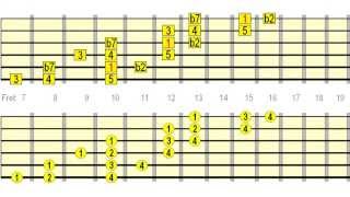 Neck Dominating & Speed Building Guitar Scale Runs