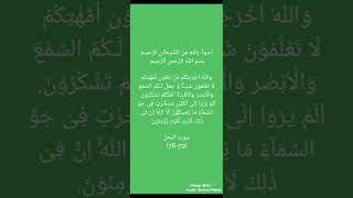 The Holy Quran WhatsApp Status, Arabic Text with Urdu Audio Translation, Surah Nahal, Verses 78-79