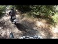 big red belly black snake tries to attack motorbike riders