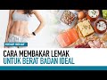 Cara Paling Efektif untuk Membakar Lemak Tubuh | Hidup Sehat tvOne