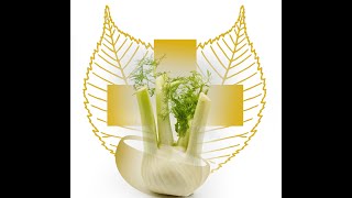 The Medicinal Uses of Fennel