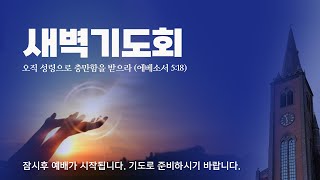 새벽예배 실황 | 송촌장로교회 | 2025-02-18