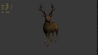 Male Sambar Deer 3D Animation preview | Intoscience