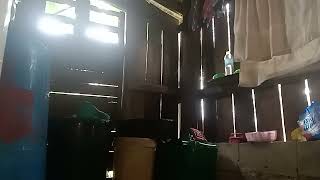 Ligo Challenge Accepted No 7