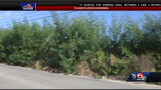 WDSU Road Patrol: Overgrown grass concerns residents on Florida Avenue