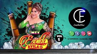 MIX ESVILDA AVILA - VOL 01 - DJ CUSTHOFLOW - 2024