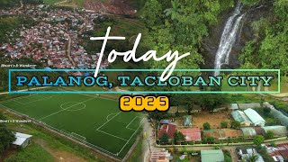 Welcome to Brgy. 103, Palanog, Tacloban City | Aerial Video | January 2025