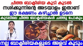 കുടൽ രോഗങ്ങൾ വരുന്നതിന്റെ കാരണമിതാണ് | ചീത്ത ബാക്ടീരിയകളെ നശിപ്പിക്കാൻ ഈ ഭക്ഷണം മതി